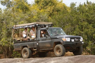 Private Yala Safari Day Trip & Exclusive Beach BBQ Dinner
