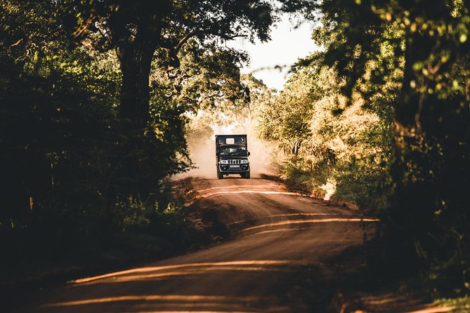 Private Yala Safari Day Trip & Exclusive Beach BBQ Dinner - The strongest reason to book, and the clearest reason to hesitate