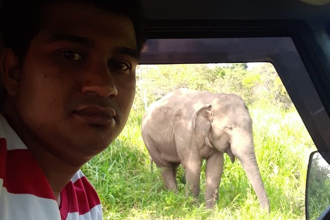 Rangiri Jeep Safari Sigiriya Lion Rock & Evening Jeep Safari - Sigiriya’s Lion’s Paws and UNESCO-listed fortress