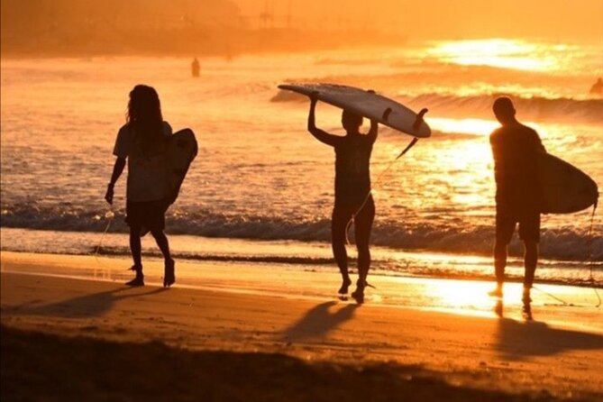 Ride a Wave Surf School Weligama Sri Lanka - Is $20 good value?