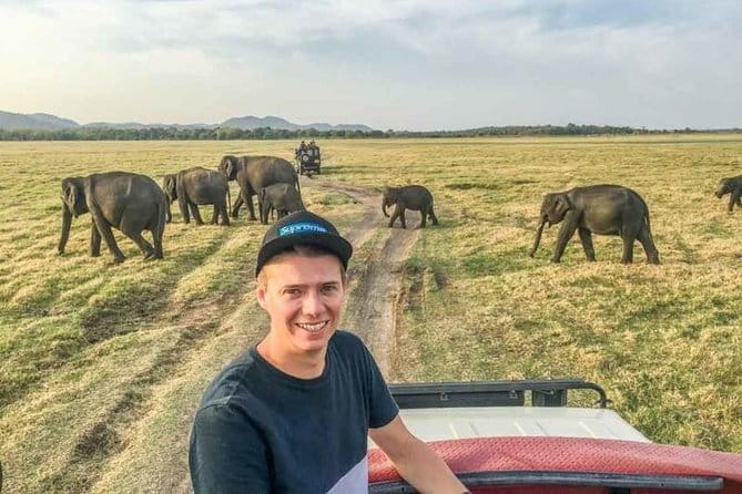 Safari Adventure in Minneriya national Park Sri Lanka - Nuwan Wild Safari and the guide experience