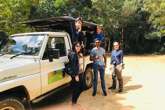 Safari at Wilpattu National Park from Negombo (All inclusive day tour) - The wildlife you may actually see