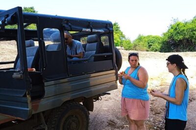 Safari Day Tour to Sigiriya Lion Rock and Golden Cave Temple