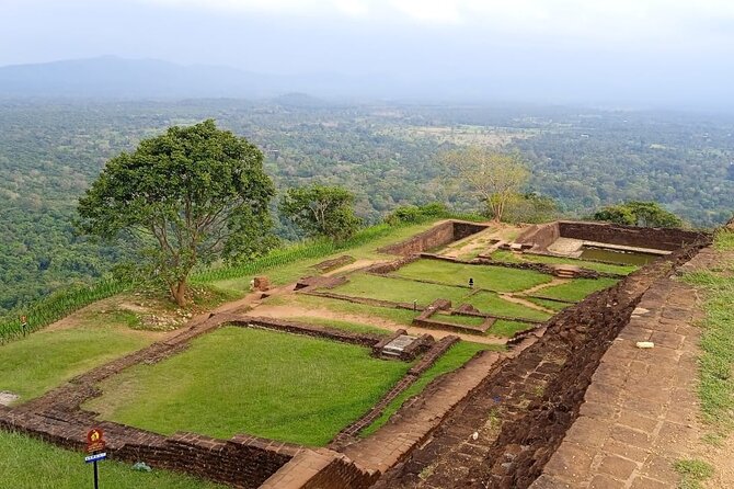 Safari Day Tour to Sigiriya Lion Rock and Golden Cave Temple - Who should book this experience?