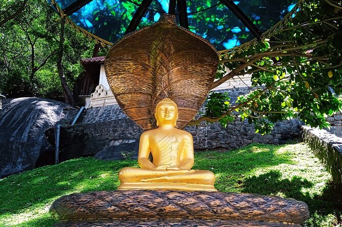 Safari Day Tour to Sigiriya Lion Rock and Golden Cave Temple - Small details that make the day easier