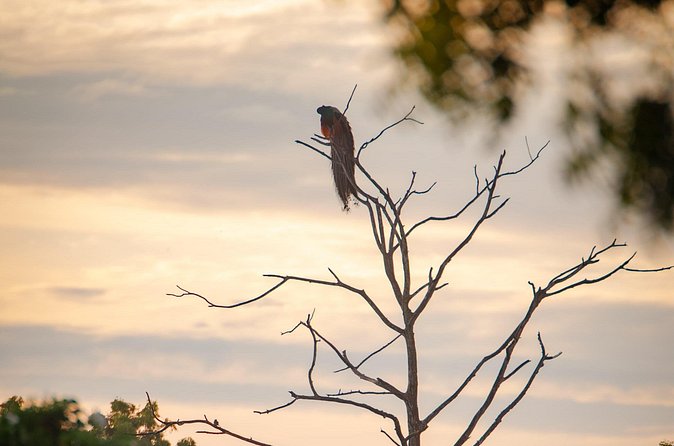 Safari tours in Udawalawa - Why Udawalawe is a good safari choice