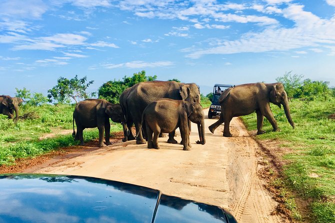 Safari with Sheran Udawalawe National Park - The four-hour route through Udawalawe