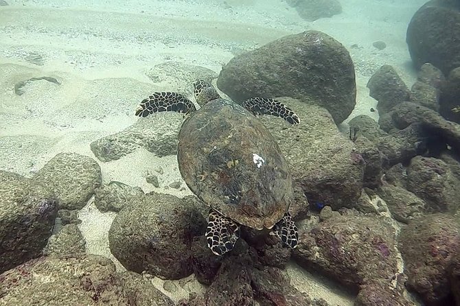 Scuba Diving at Unawatuna - What the $70 price includes