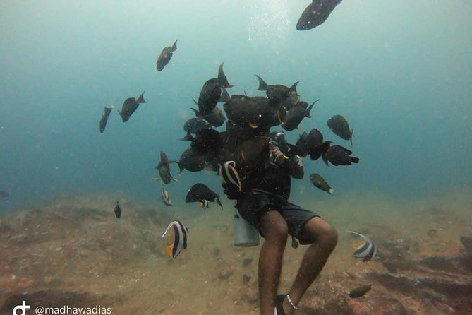 Scuba Diving at Unawatuna - GoPro photos and the memory of your first session