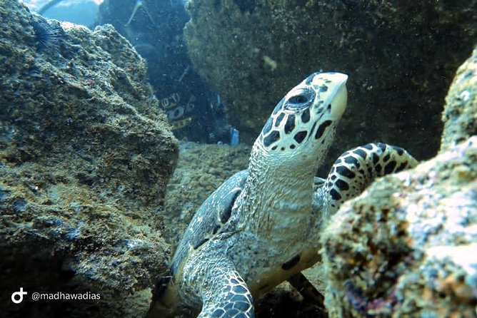 Scuba Diving at Unawatuna - The weather question in Unawatuna