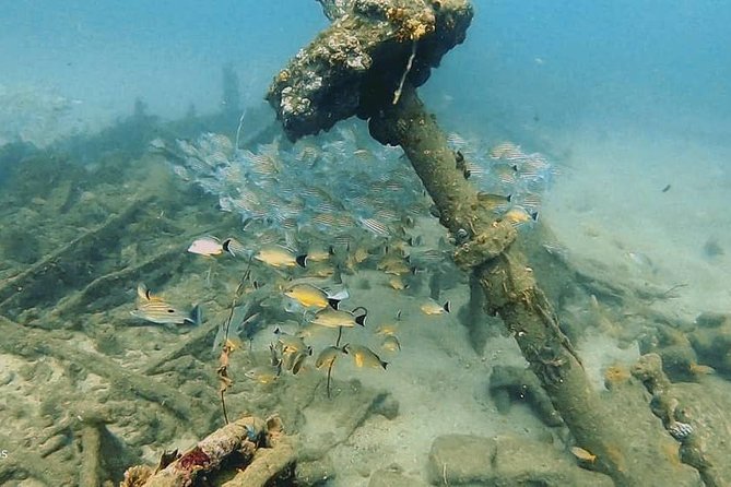 Scuba Diving at Unawatuna - Who will enjoy this four-hour outing