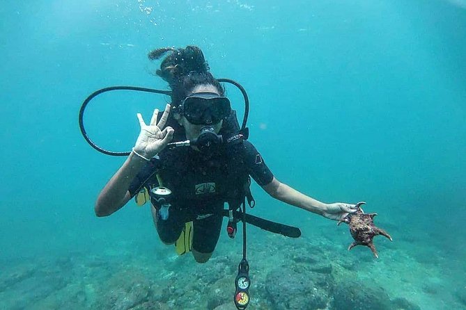 Scuba Diving at Unawatuna - Choosing among Unawatuna’s reefs and wrecks