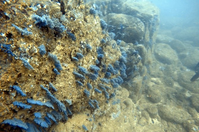Scuba Diving in Mirissa - What the three-hour Mirissa outing is really like