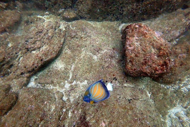 Scuba Diving in Unawatuna - Unawatuna Beach and the coastal setting