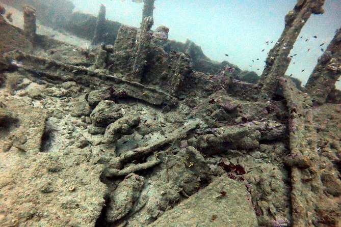 Scuba Diving in Unawatuna - What you may see below the surface