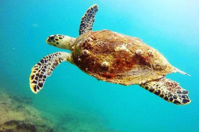 Scuba Diving in Unawatuna - Getting ready with equipment and instruction
