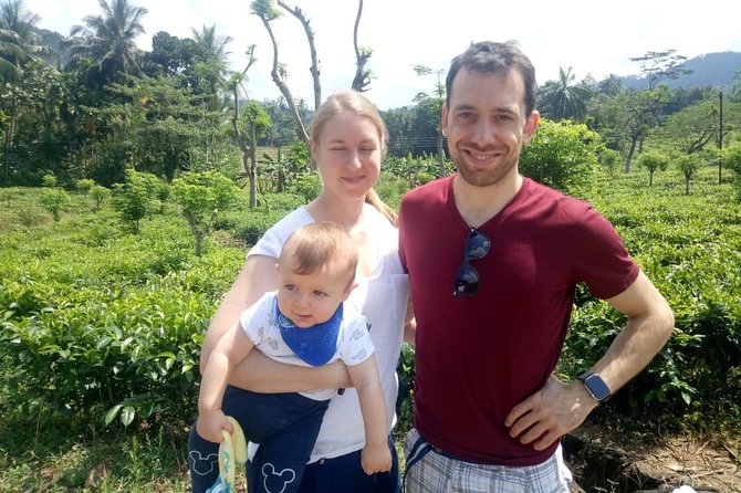 Shore Excursion From Colombo port to Ingiriya Tea Plantation & back for 2 People - Meeting your driver at Colombo passenger terminal