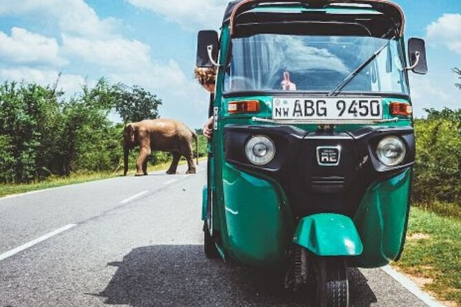 Sigiriya and Dambulla Private Day Tour by Tuk-Tuk or Car - The optional village visit and Sri Lankan rice and curry
