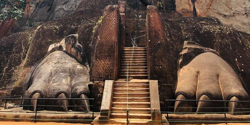 Sigiriya and Dambulla Private Full-Day Tour - Searching for elephants at Minneriya