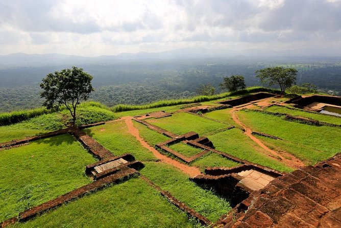 Sigiriya and Dambulla Tour (All Inclusive) - The driver, private transport, and guide expectations