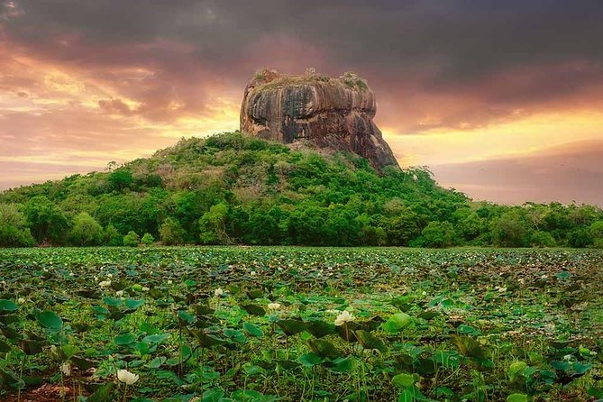 Sigiriya and Dambulla Tour (All Inclusive) - My booking verdict