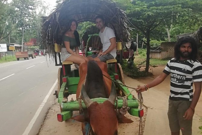 Sigiriya city tour from Negombo & Colombo with traditional Lunch. - Who will enjoy this trip most
