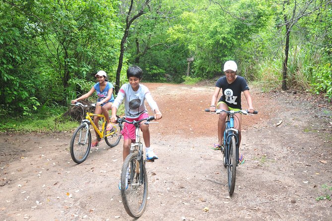 Sigiriya Cycle Tour: Explore Village Life in Sigiriya & Enjoy a Village Lunch - Small group size and the meaning of the price