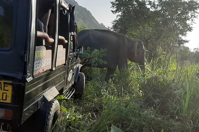 Sigiriya, Dambulla and Minneriya National Park Private Tour In - Key points to know before you book