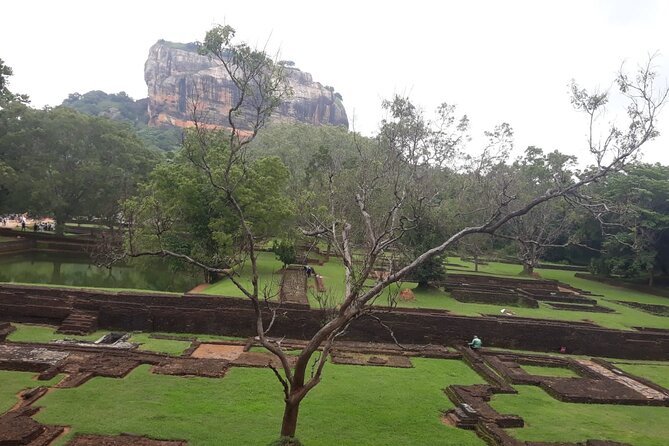 Sigiriya, Dambulla and Minneriya National Park Private Tour In - Three Sri Lankan icons from one Kandy pickup