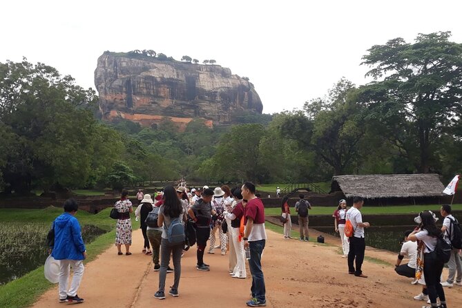 Sigiriya, Dambulla and Minneriya National Park Private Tour In - Minneriya National Park and the famous elephant gathering