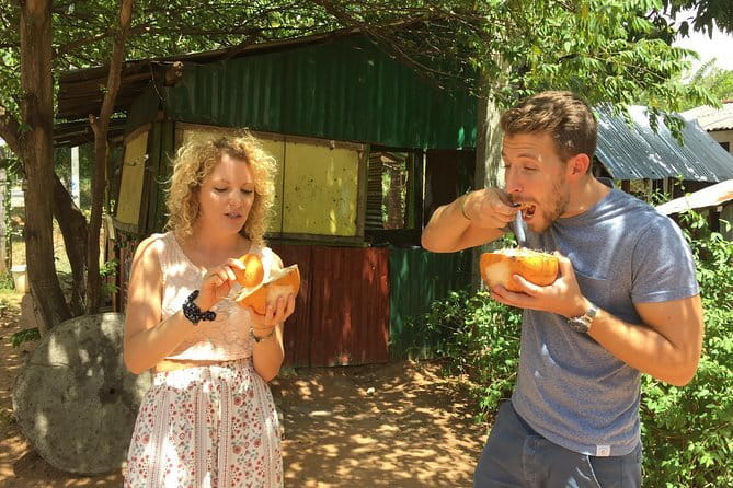 Sigiriya & Dambulla Day Tour - What the driver-guide adds