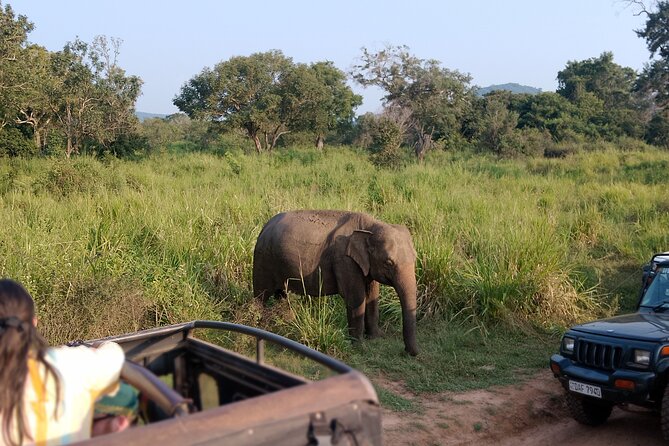 Sigiriya Dambulla Wonders Day Trip from Kandy - Booking details worth checking first