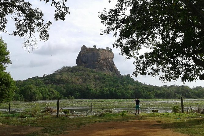 Sigiriya Day Tour - Dambulla Cave Temple - Sigiriya Fortress, frescoes, gardens, and palace ruins
