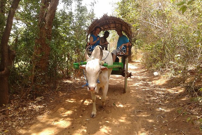 Sigiriya Day Tour - Dambulla Cave Temple - What the guide adds to the day