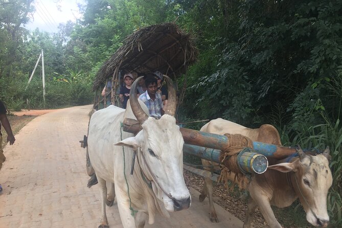 Sigiriya Day Trip with Experts - Comfort, timing, and who should book