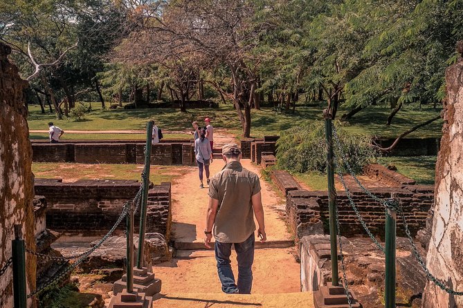 Sigiriya, Polonnaruwa & Dambulla "Trilogy" Day Tour from Colombo - Why this private trilogy works