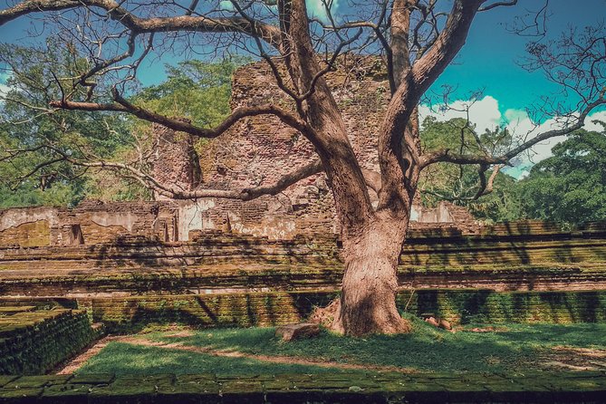 Sigiriya, Polonnaruwa & Dambulla "Trilogy" Day Tour from Colombo - Who should choose this 14 to 16 hour schedule?
