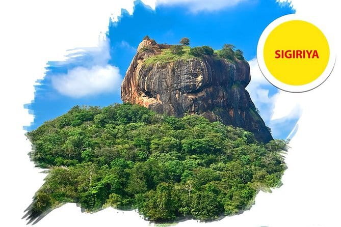 Sigiriya Rock and Dambulla Cave Temple all inclusive Private Day Trip - Who should book this Colombo day trip