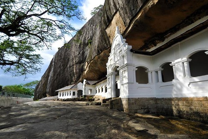 Sigiriya Rock and Dambulla Cave Temple Day Tour - What the private guide and driver arrangement means