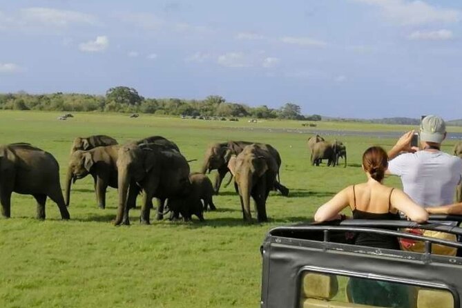Sigiriya Rock & Cave Temple with Jeep Safari Private Day Trip - How the $210 price works for you