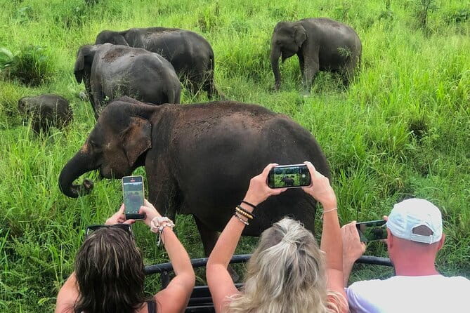 Sigiriya Rock Climb, Village Tour+Cooking Class & Elephant Safari - Key points at a glance