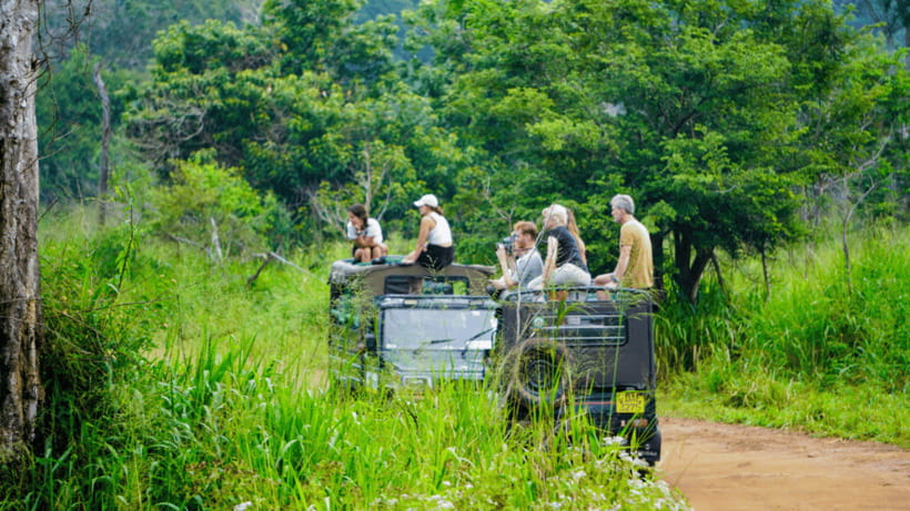 Sigiriya Rock Hike & Minneriya Elephant Safari – Day Tour - Lunch needs clarification before departure