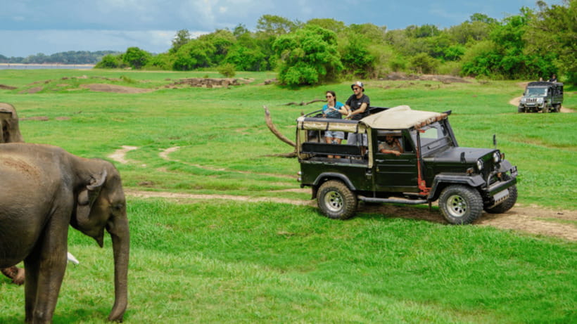 Sigiriya Rock Hike & Minneriya Elephant Safari – Day Tour - Timing problems worth checking