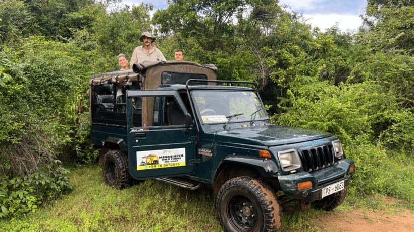 Sigiriya Rock Hike & Minneriya Elephant Safari – Day Tour - Who will get the most from this tour