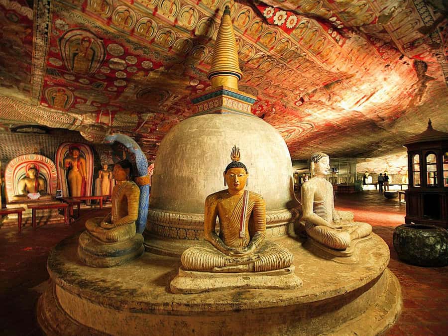 Sigiriya: Sigiriya or Pidurangala Sunrise/Sunset Hike - Reaching the trailhead and buying your ticket