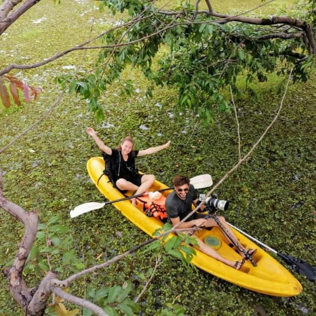 Sigiriya: Sunrise or Sunset Kayaking Tour - A quiet view of Sigiriya from Thalkote Lake