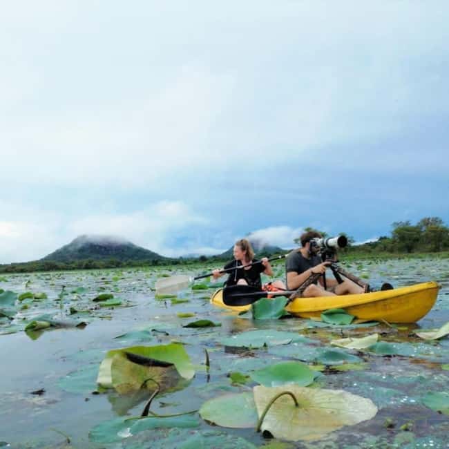 Sigiriya: Sunrise or Sunset Kayaking Tour - What happens during the 90-minute paddle