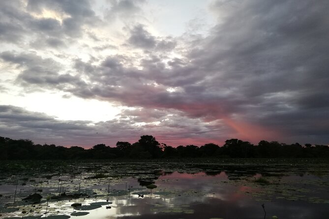 Sigiriya Sunrise/Sunset Guided Boat Ride - Weather, comfort, and group size