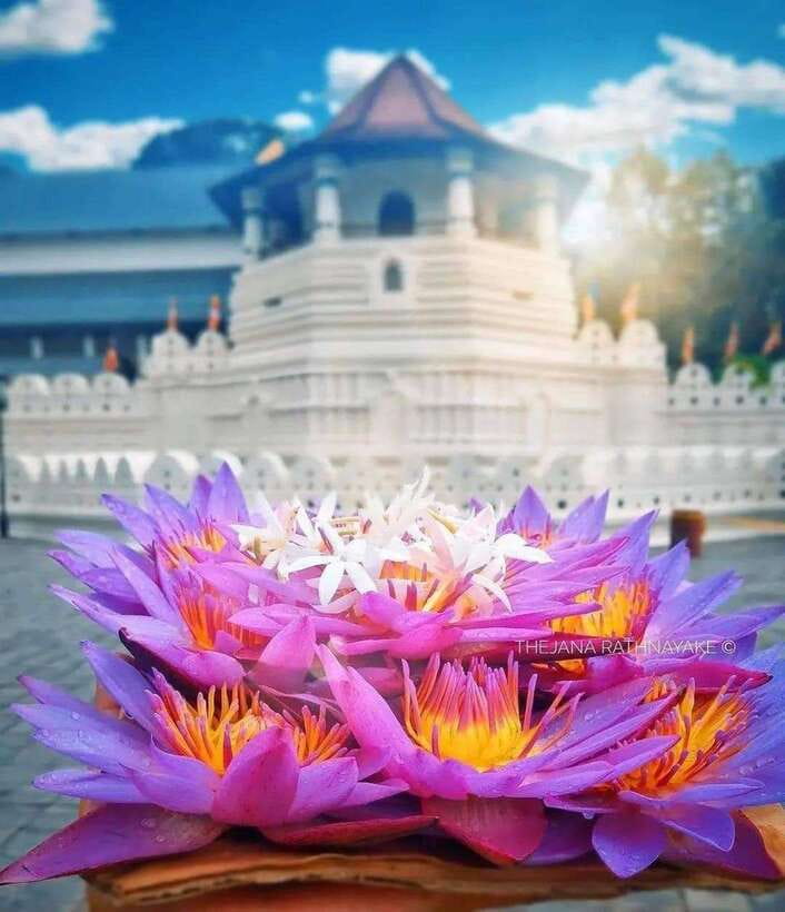 Sigiriya To Kandy Private Transfer: Visit Dambulla Temple - Key points to know before booking