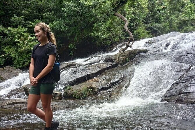 Sinharaja Rain Forest Day Tour from Mirissa, Galle, Bentota Area - Pickup from Mirissa, Galle, Bentota, and nearby towns